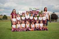 Flag Cheer
