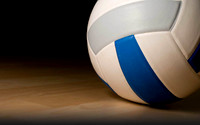 VCA Volleyball 2017
