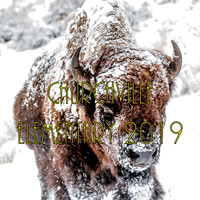 CHES 2019