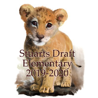 SDES 2020