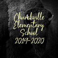 CHES 2020