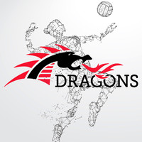 Volleyball 2019